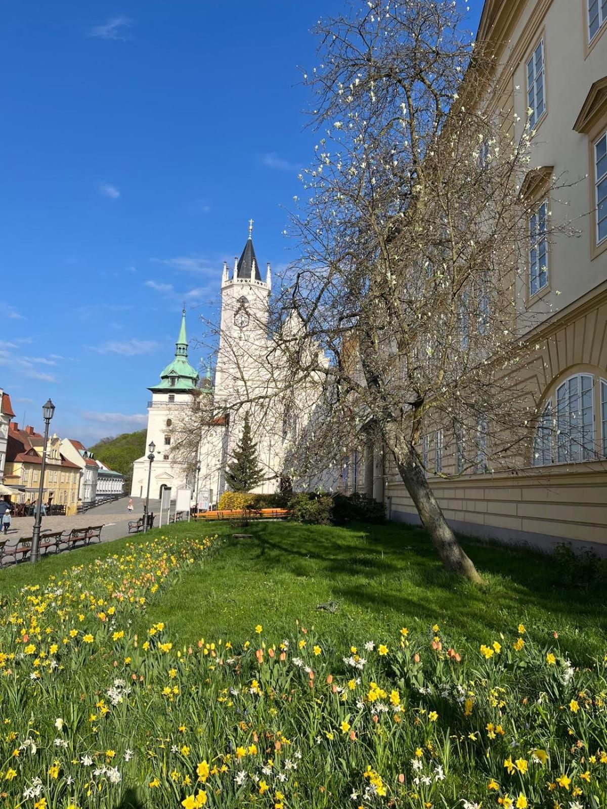 Vila Adela - Teplitz Exterior foto